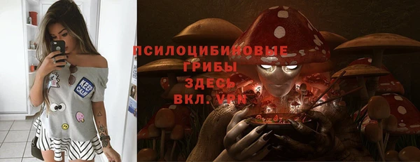 ешки Тайга