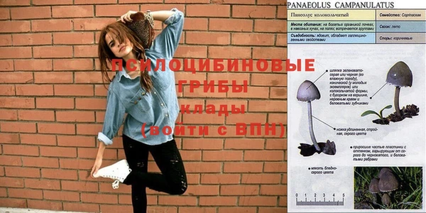 трава Вязьма